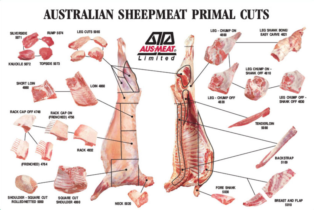 Overview of the Meat Industry 4 Skills Base Australia